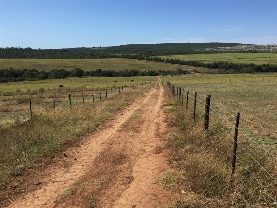 Commercial Property for Sale in Bathurst Eastern Cape